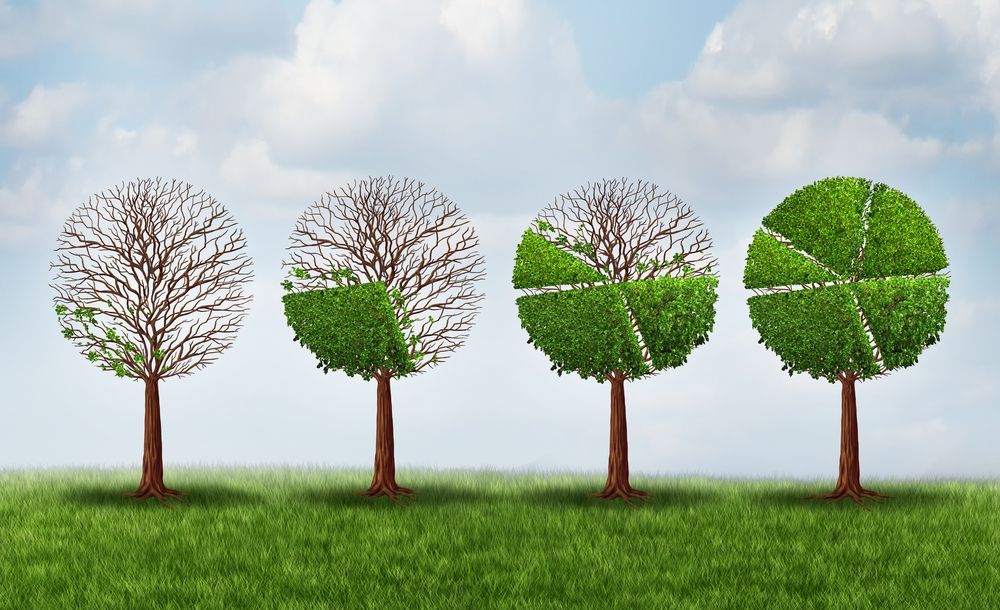 O que é terceirização de frota? Na imagem, evolução de árvores representa estratégias para conseguir clientes