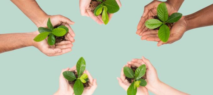 logistica-reversa-conheca O que é logística reversa? Na imagem, pessoas seguram plantas em representação à logística reversa, que propõe estratégias sustentáveis para a empresa